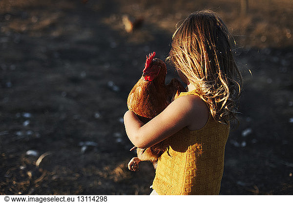 Side view of girl carrying hen while standing on field