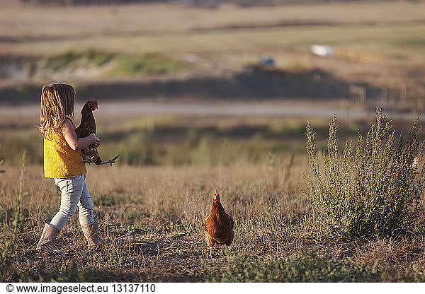 Side view of girl holding hen while walking on field