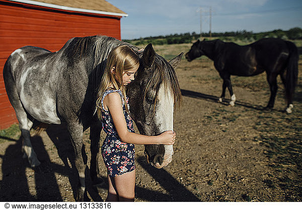 Side view of girl stroking horse while standing at barn