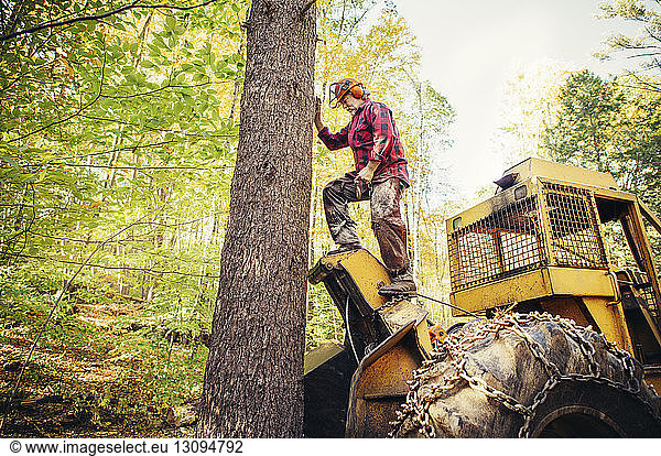 Side view of lumberjack standing on construction vehicle in forest