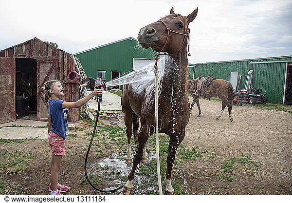 Side view of smiling girl spraying water on horse at barn against cloudy sky