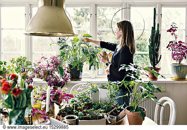 Side view of woman looking at potted plant on window sill