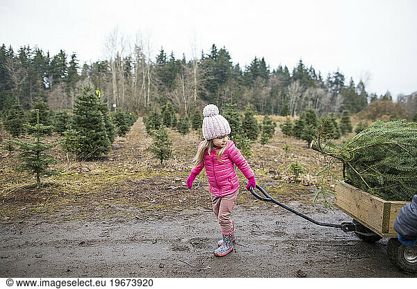 Side view of young girl pulling cart with Christmas Tree