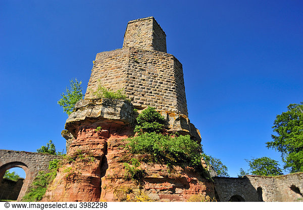 Siebeneckiger Bergfried der Burgruine Gräfenstein  Merzalben  Naturpark Pfälzerwald  Pfalz  Rheinland-Pfalz  Deutschland  Europa