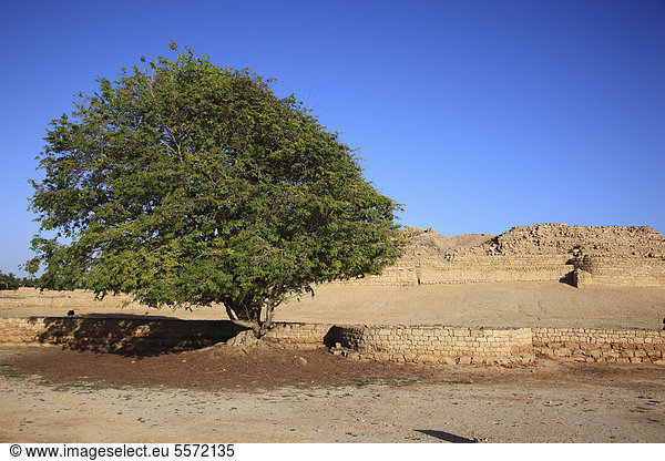 Siedlungsreste der Stadt und Weihrauchhafen Al-Baleed  Unesco Weltkulturerbe  Salala  Salalah  Oman  Arabische Halbinsel  Naher Osten
