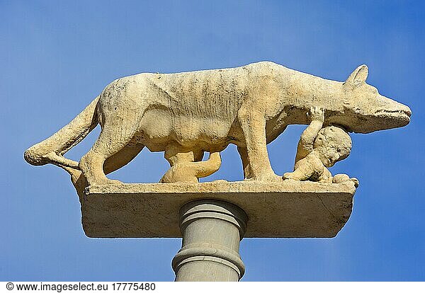 Siena  Dom  Dom  Romulus und Remus  Kathedrale  Domkirche  UNESCO-Weltkulturerbe  Toskana  Italien  Europa