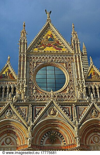 Siena  Dom  Kathedrale  Dom-Kathedrale  UNESCO-Weltkulturerbe  Toskana  Italien  Europa