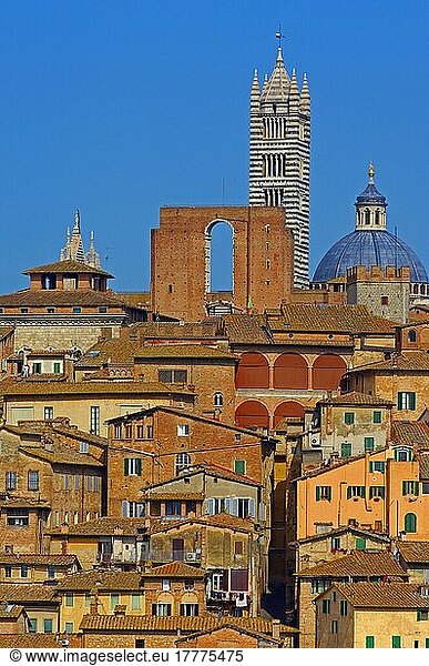 Siena  Dom  Kathedrale  Domkirche  Altstadt  UNESCO-Weltkulturerbe  Toskana  Italien  Europa