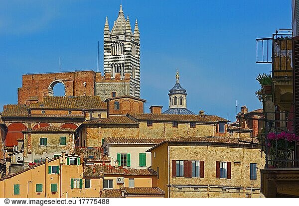 Siena  Dom  Kathedrale  Domkirche  Altstadt  UNESCO-Weltkulturerbe  Toskana  Italien  Europa