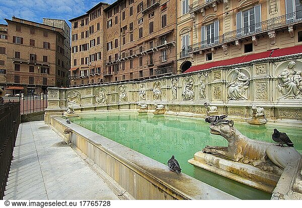Siena  Piazza del campo  Fonte Gaia  Der Campo-Platz  Gaia-Brunnen  UNESCO-Weltkulturerbe  Toskana  Italien  Europa