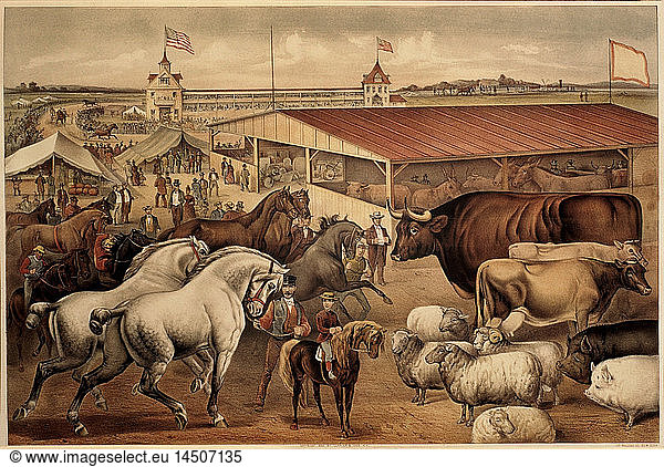 Sights at the Fair Grounds  Currier & Ives  Lithograph  1888