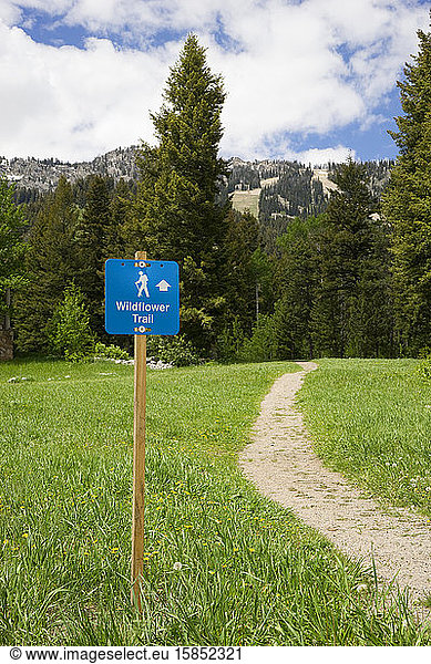 Sign for Wildflower hiking trail at Jackson Hole Mountain Resort