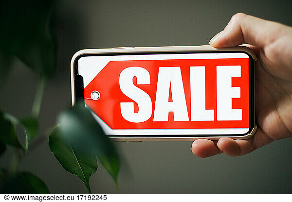 Sign With Sale Text  season concept