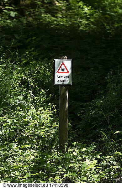 Signboard pole in forest on warning of ticks on a sunny day