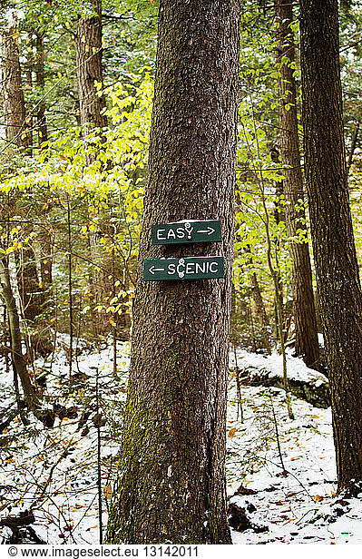 Signboards on tree trunk in forest