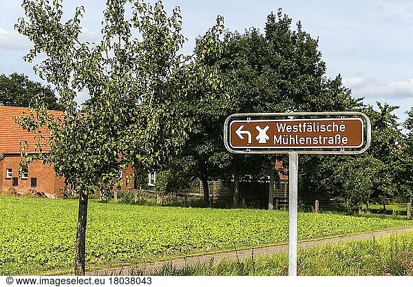 Signpost  Rahden  Minden-Lübbecke  East Westphalia-Lippe  North Rhine-Westphalia  Germany  Europe