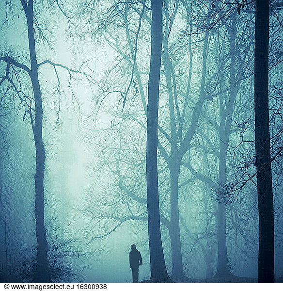 Silhouette eines Mannes im nebligen Wald bei Gegenlicht