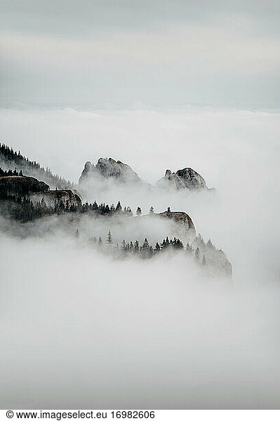 Silhouette eines nebelverhangenen Gebirges im Winter