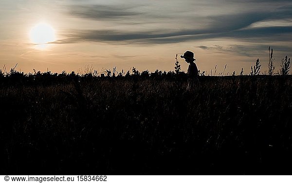 Silhouette of a girl walking across a field at sunset