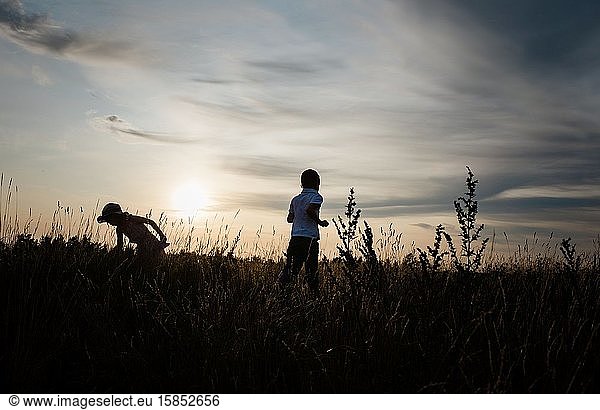 silhouette of brother and sister playing in a meadow at sunset