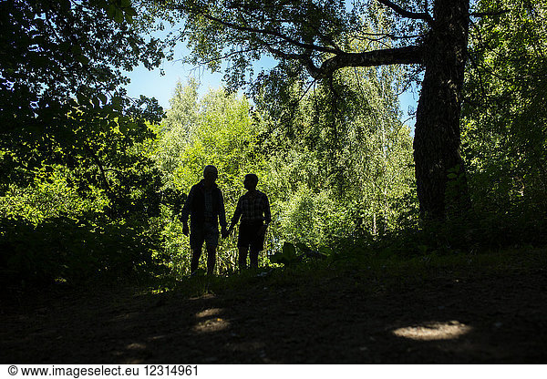Silhouette of couple in forest