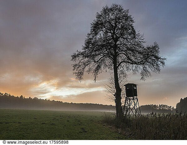 Silhouette of hunting tower standing under single tree at foggy dusk