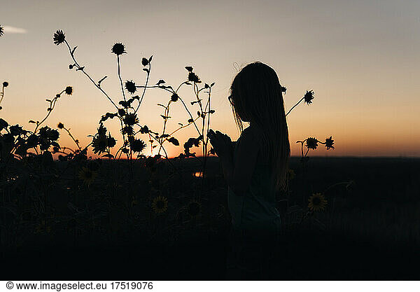 Silhouette of little girl and flowers at sunset in North Dakota
