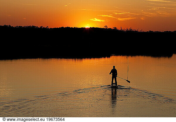 Silhouette of one man stand up paddleboarding in sunset light with trees reflecting in the water.
