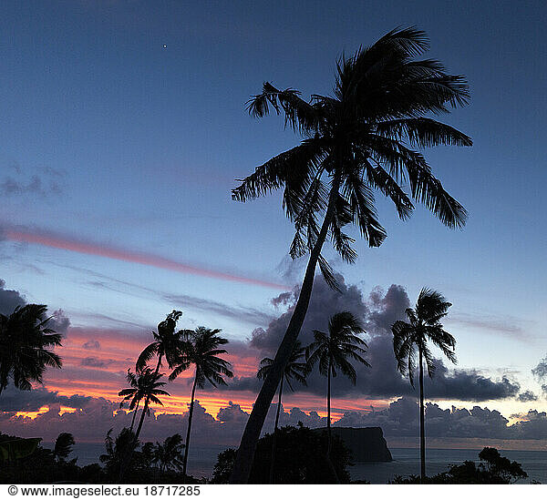 Silhouette of palm trees and small island during sunset in Samoa