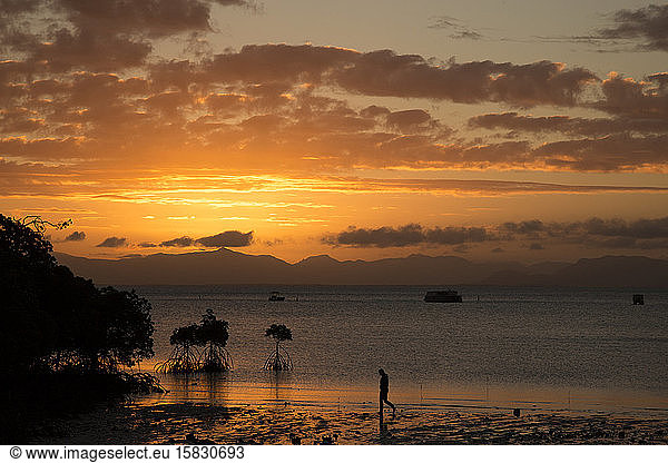 Silhouette of person & mangroves at sandy beach during a golden sunset