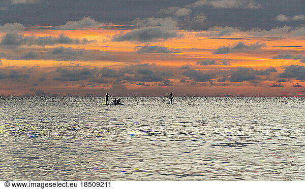 Silhouette of three people on Stand Up Paddle Board. SUP.