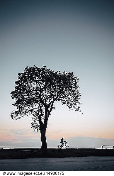 Silhouette people and single tree at promenade against sky during sunset
