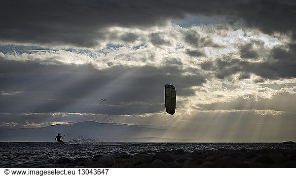 Silhouette person kite boarding in sea