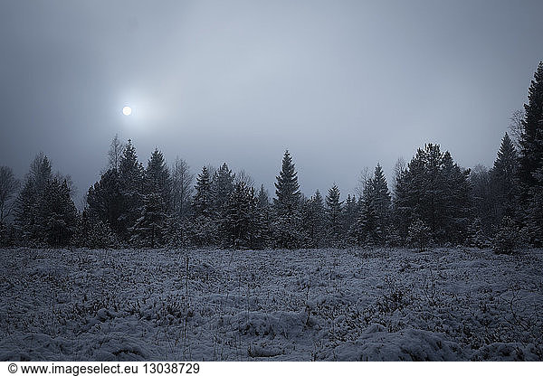 Silhouette trees on snow covered field amidst trees against cloudy sky at dusk