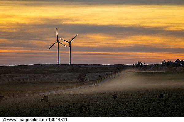 Silhouette wind turbines on field at sunset