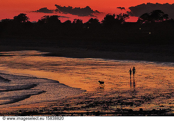 Silhouetted couple with dog walk on beach at Biddeford Pool at sunset