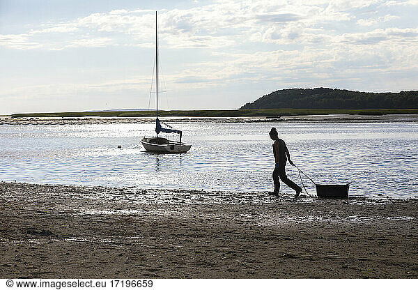 Silhouetted woman pulling oyster crate along beach in Wellfleet