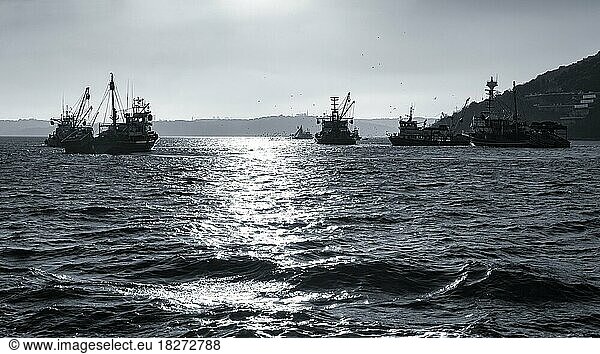 Silhouetten von Fischfangbooten  Trawler auf dem Bosporus  monochrom  Sariyer  Istanbul  Türkei  Asien