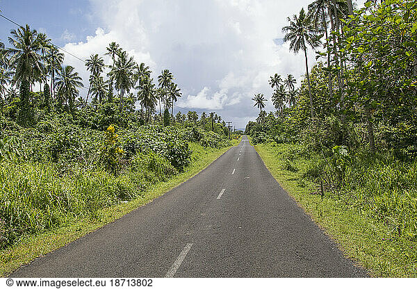 Silhouettes of palm trees leaning over the ocean in Samoa  South Pafic