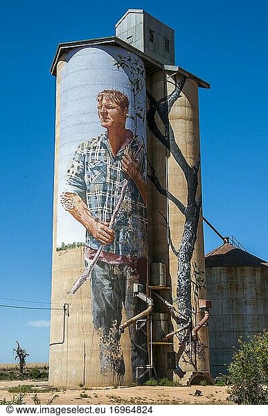 Silo art by Fintan Magee at Patchewollock in the Mallee region of northwest Victoria  Australia  depicts local farmer Nick 'Noodle' Hulland. The Silo Art Trail has become a significant tourist attraction in farming districts which otherwise struggle to attract visitors.