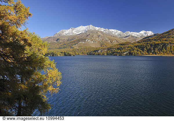 Silsersee and Mountains in Autumn  Engadin  Canton of Graubunden  Switzerland