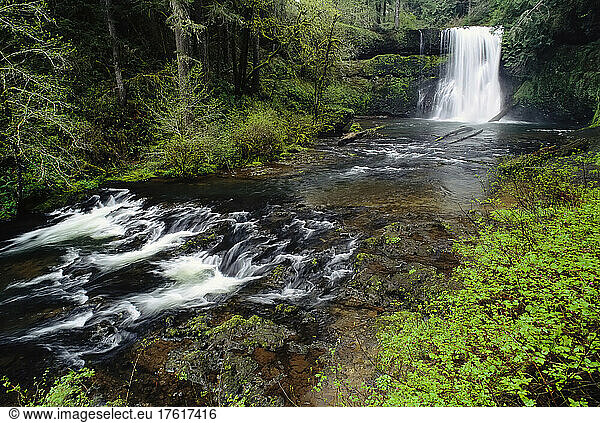 Silver Falls State Park Oregon  USA
