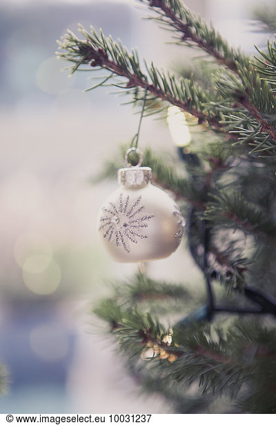 Silver ornament hanging on Christmas tree