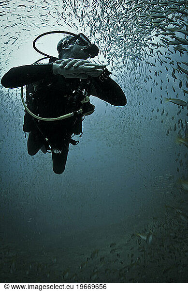 Similan and Surin National Park in Thailand