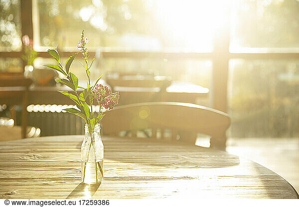 Simple wildflower bouquet in glass jar on sunny cafe table