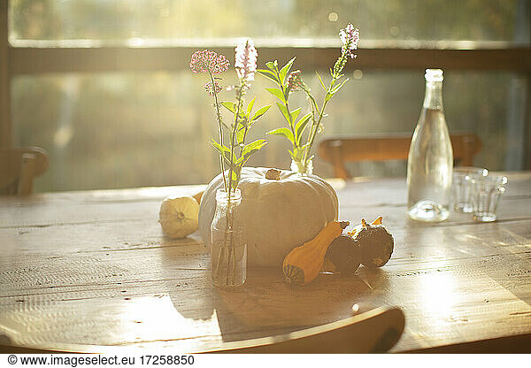 Simple wildflower bouquets  pumpkins and gourds on sunny autumn table