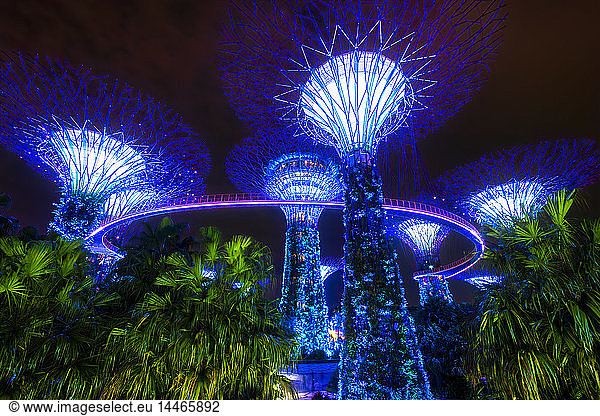 Singapore  Marina Bay  Gardens by the Bay  Super trees at night