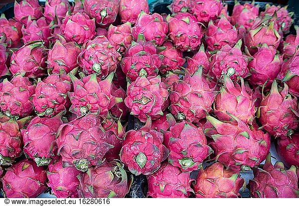 Singapore  Republic of Singapore  Asia - Fresh dragonfruit is sold at a street market.