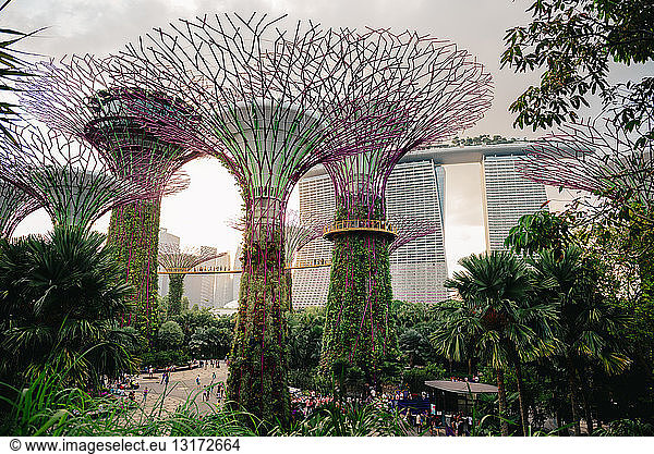 Singapur  Gardens by the Bay  Supertree Grove bei Sonnenuntergang
