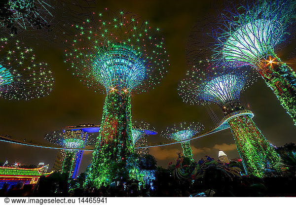 Singapur  Marina Bay  Gardens by the Bay  Superbäume bei Nacht